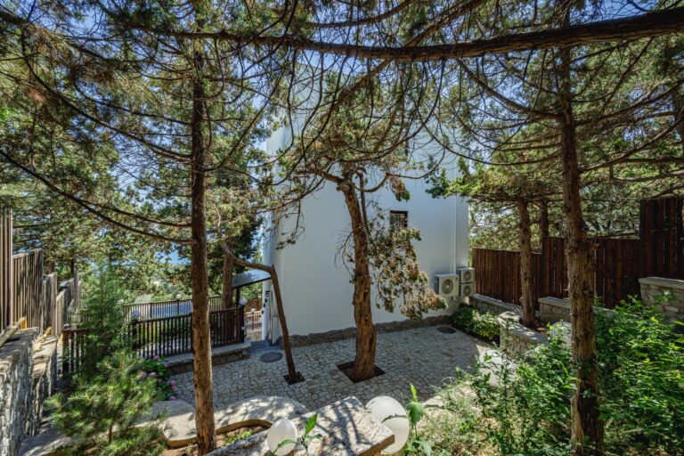 Благоустройство двора построенной нами виллы площадью 195 кв.м в коттеджном поселке «Chaire Village» фото со стройки дома